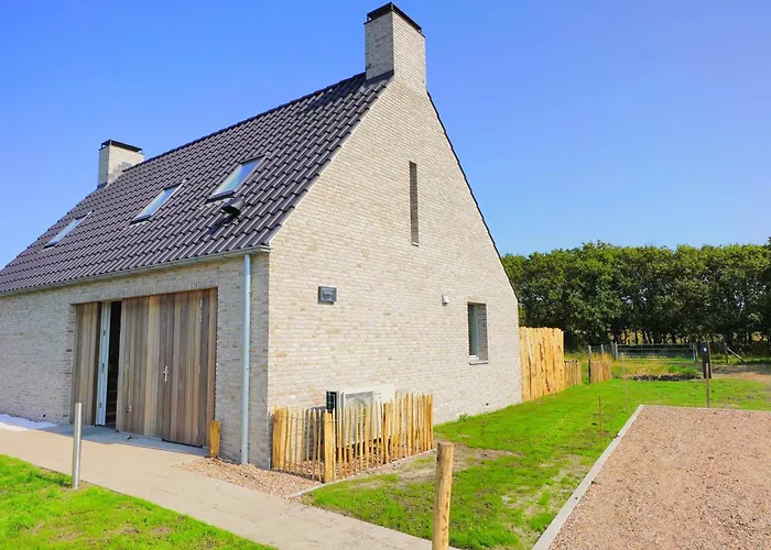 Koraal * Callantsoog